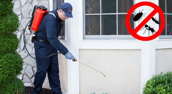 Alucra Gümüşkurt İlaçlama böcek ilaçlama ve haşere kontrolü — ilaclama-tr.com
